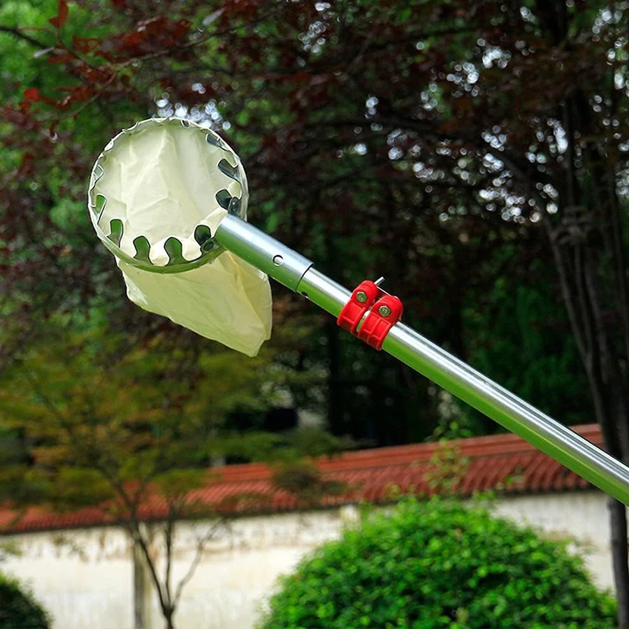 Adjustable Tree Collector Mult - Bonsai Garden Tree のレビューと価格