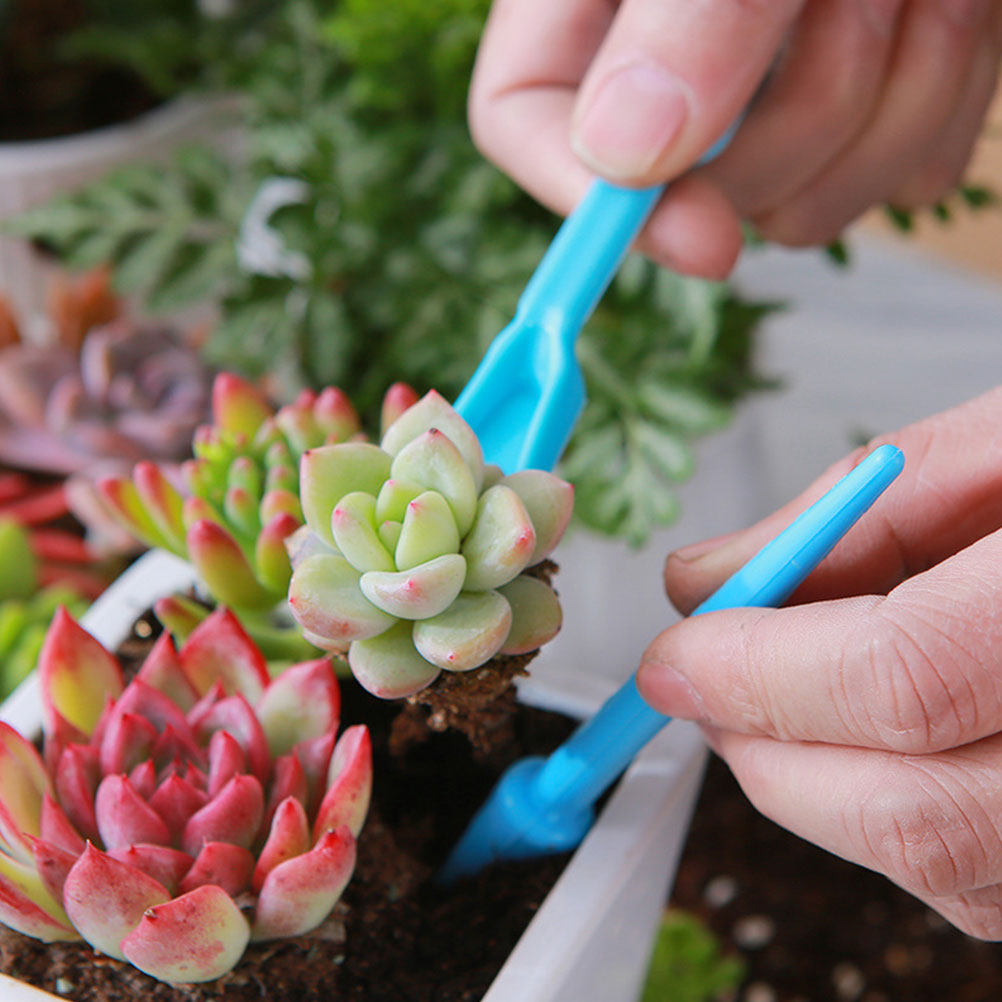 1Set Garden Tool Kit Succulent - Soil Scoop Tool のレビューと価格