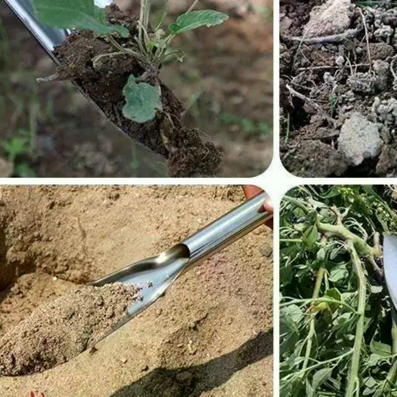Stainless Steel Hand Shovel Le - Soil Scoop Tool のレビューと価格