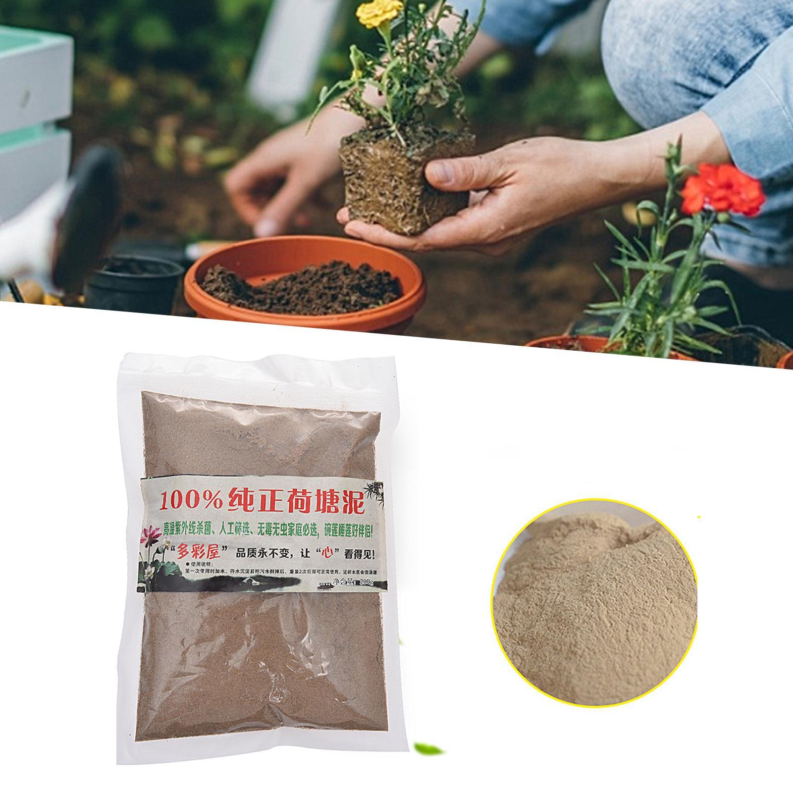 Natural Lotus Pond Mud Garden  - Bonsai Garden With Pond のレビューと価格