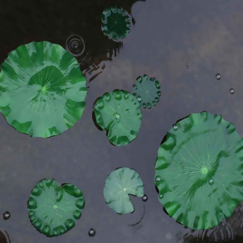 2026 Artificial Water Lily Lot - Bonsai Garden With Pond のレビューと価格