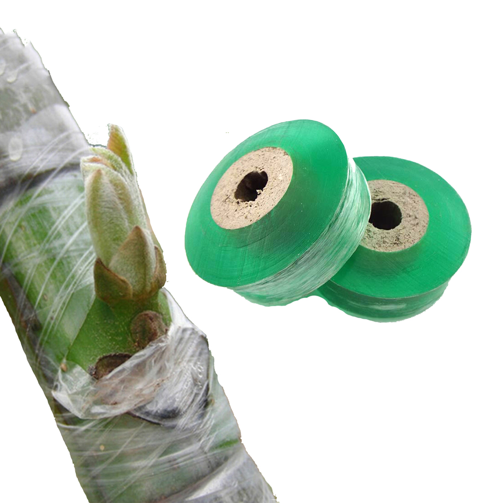 Roll Grafting Tape Garden Tool - Bonsai Garden Tree のレビューと価格