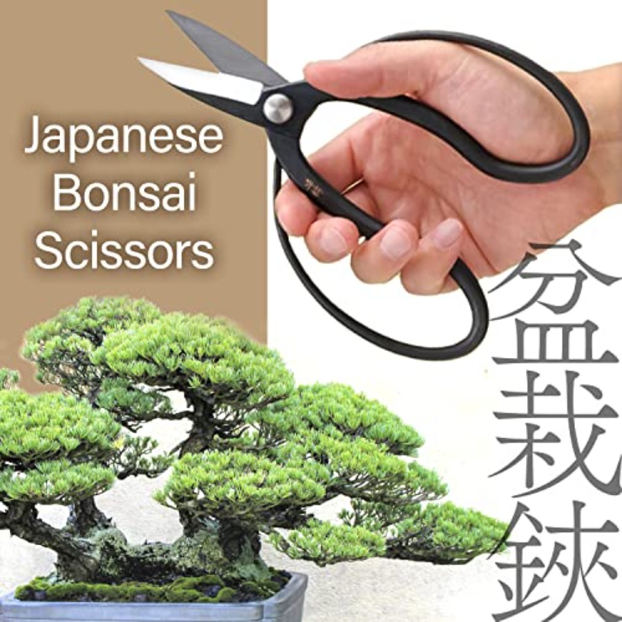 Japanese Suiryu Bonsai Scissor - Japan Bonsai Garden のレビューと価格