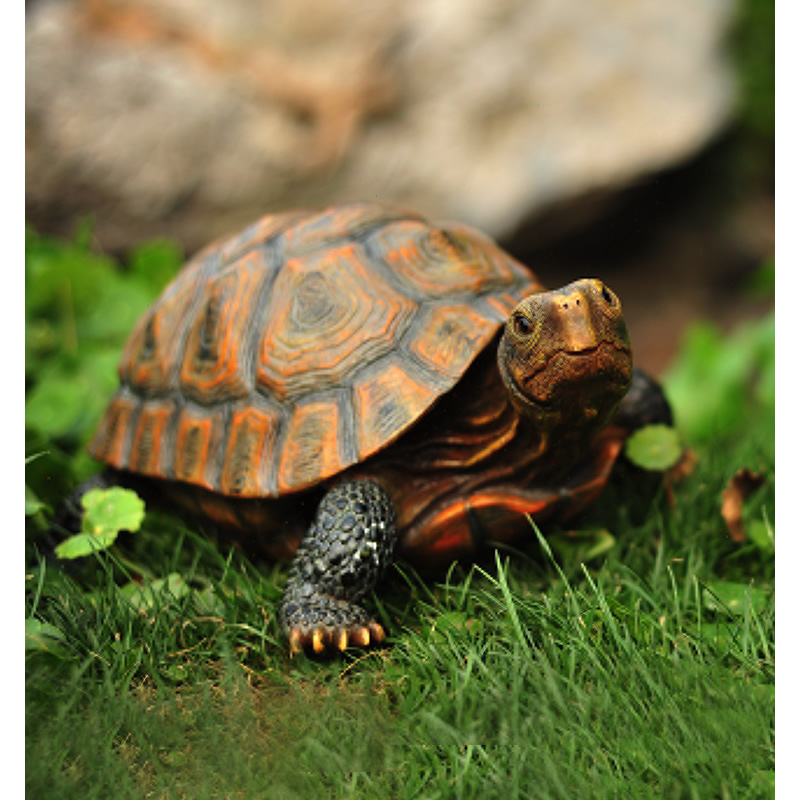 Cute Resin Tortoise Statue Out - Bonsai Garden With Pond のレビューと価格