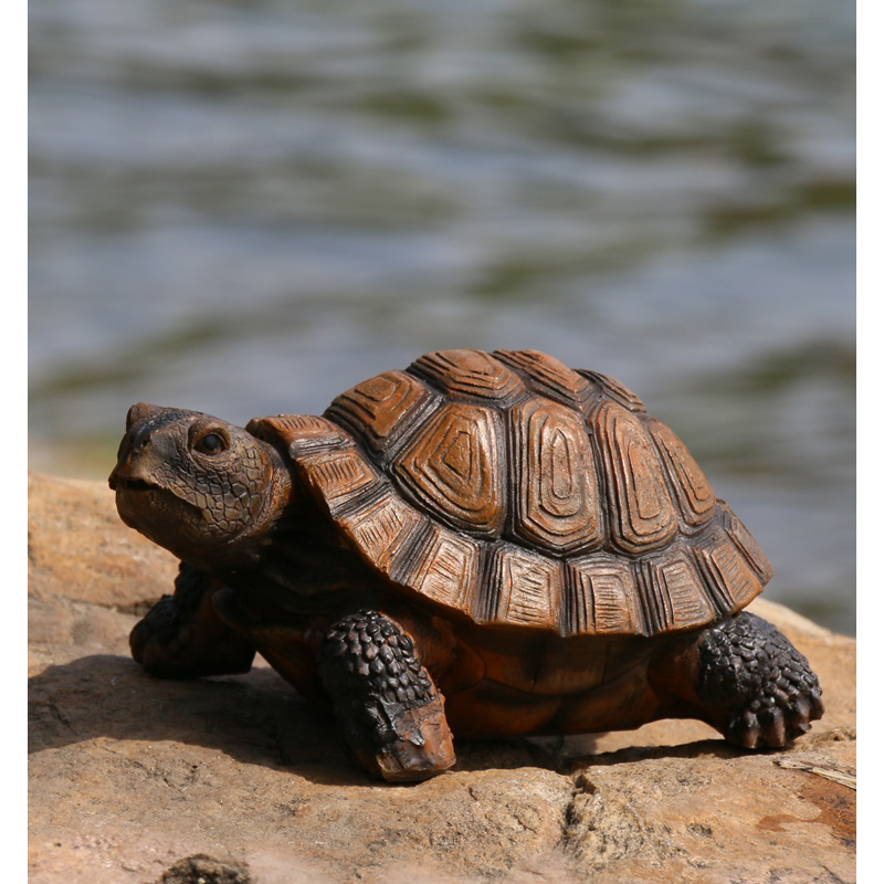Cute Resin Tortoise Statue Out - Bonsai Garden With Pond のレビューと価格