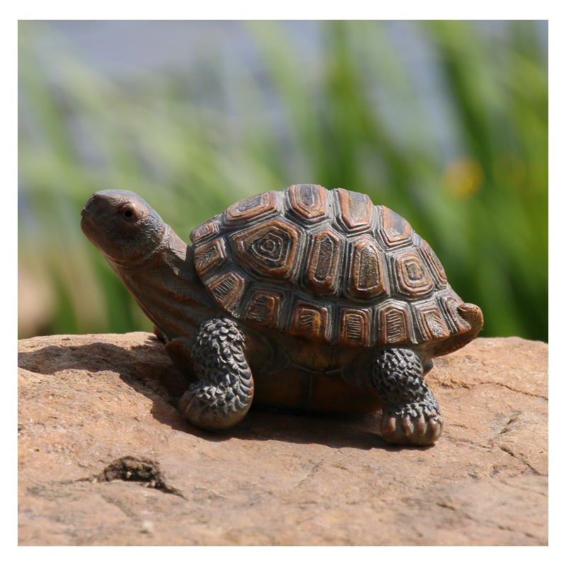 Cute Resin Tortoise Statue Out - Bonsai Garden With Pond のレビューと価格