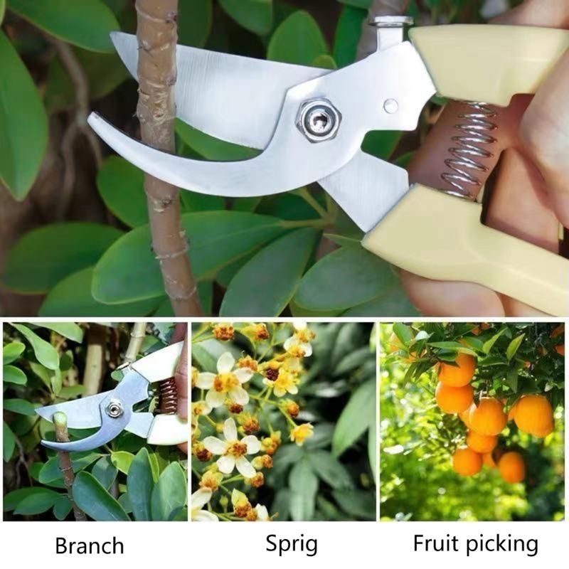 Fruit Bonsai Picking Scissors  - Bonsai Garden Hours のレビューと価格