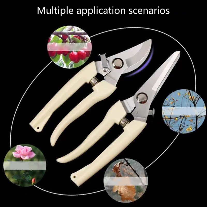 Fruit Bonsai Picking Scissors  - Bonsai Garden Hours のレビューと価格