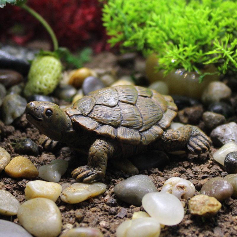 Little Turtle Model Resin Stat - Bonsai Garden With Pond のレビューと価格